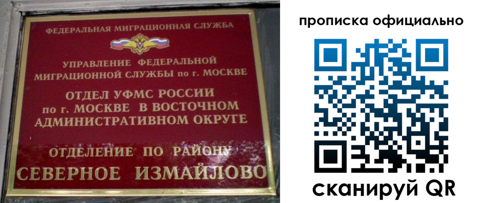 временная регистрация поиск в Челябинской области